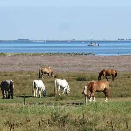 Haus Treibgut 236 - 6